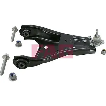 Zavěšení kol Řídicí páka, zavěšení kol Schaeffler FAG 821 1009 10