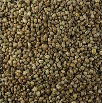 Pro ptáka Semenec - krmivo pro holuby exoty Hmotnost: 10 kg