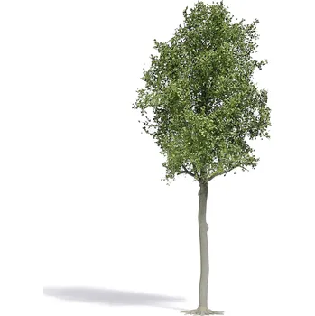 Modelová železnice Busch 3797 strom lípa 1 ks