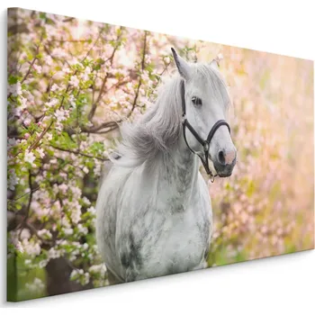Obraz MyBestHome BOX Plátno Kůň A Jaro Varianta: 30x20