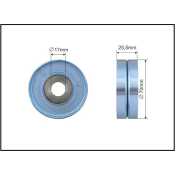 Napínací kladka, žebrovaný klínový řemen Caffaro 255-00