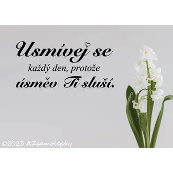 Samolepící dekorace Samolepky na zeď - Nápis - Usmívej se - L (75 x 35 cm)