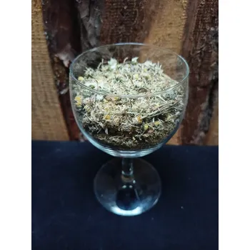 Sedmikráska květ - Bylinky (Belidis flos)