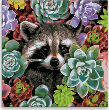 Malování podle čísel - Mýval v sukulentech - 40x40 cm, bez dřevěného rámu - CZ výroba