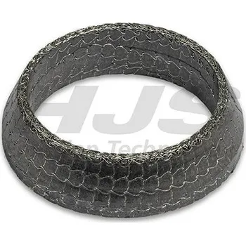 Těsnění výfuku Těsnicí kroužek, výfuková trubka HJS 83 12 2161