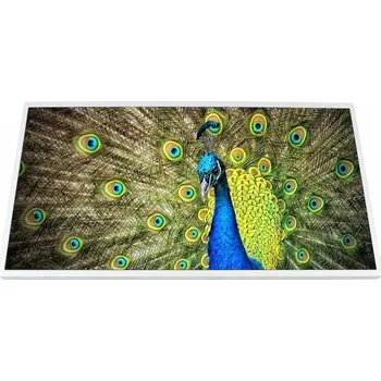 Náhradní displej pro notebook LCD LESK HD DELL STUDIO 1457 1458 (LCD LED TN lesklý 14 " 1366 x 768 003)