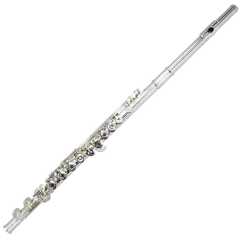 Flétna Trevor James PRIVILÉGE PV-ROESLR - Příčná flétna