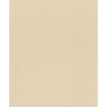 Tapeta Vliesová tapeta na zeď Rasch Trianon XIII 570250, velikost 10,05 x 0,53 m
