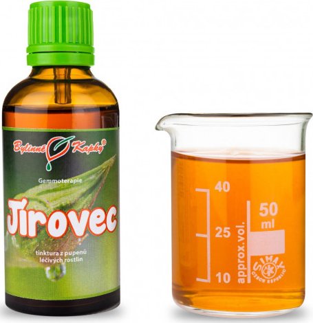 Bylinné kapky s.r.o. Jírovec - tinktura z pupenů (gemmoterapie) 50 ml | Bylinné kapky