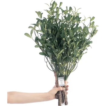 umělá květina AmeliaHome Umělá květina PLANTI 56 cm tmavě zelená