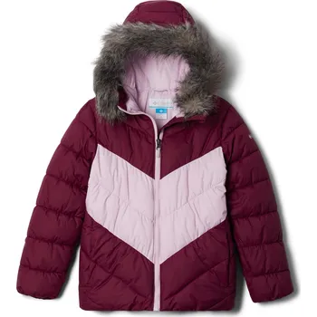 Pánská bunda Dětská Zimní prošívaná bunda COLUMBIA G ARCTIC BLAST JACKET 1908241616 – Fialová L