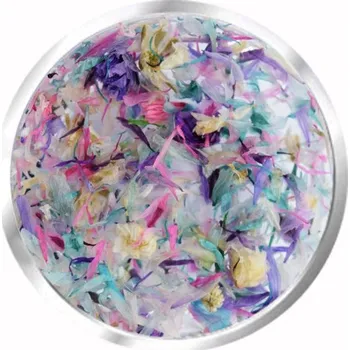 DENATO s.r.o. Sušené květy 8