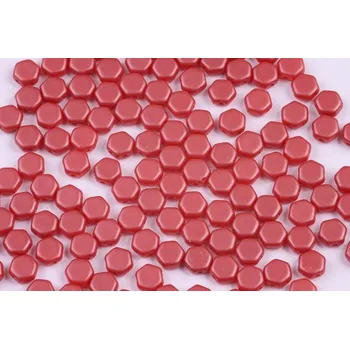 Korálek Dvoudírkový hexagon č. 107