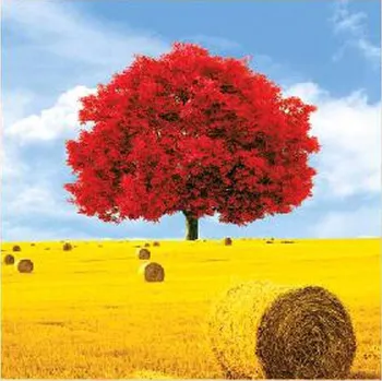 Diamantové malování Diamantové malování - Červený strom ve žluté slámě - č. 368 40x40 cm