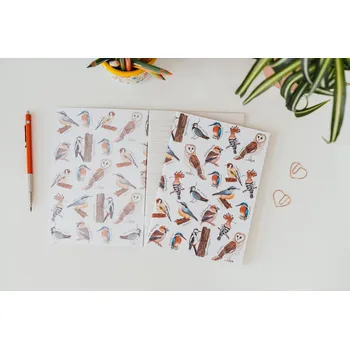 Sešit ePiPí Sešit A5 - Ptáci Listy sešitu: Linky