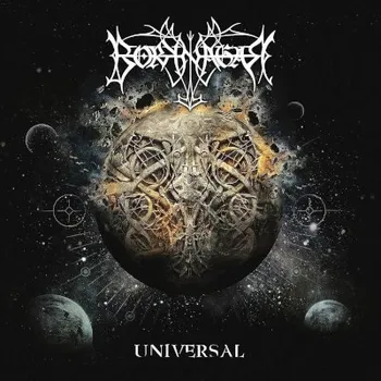 Hudba Borknagar - Universal (2LP, 19658815981)