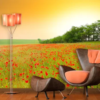 Tapeta Sablio Tapeta Pole vlčích máků - 125x75 cm