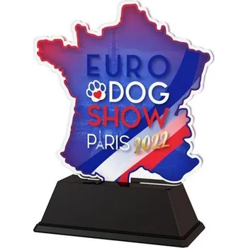 Volný čas Poháry Bauer Akrylátová trofej EDS22FA002