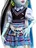 Panenka Mattel Monster High HHK53 Panenka s mazlíčkem