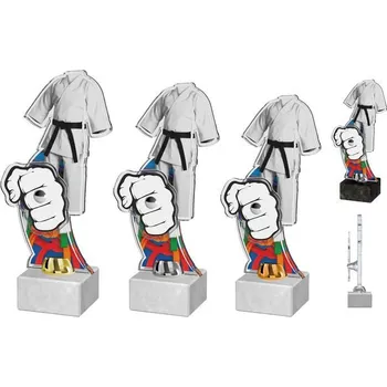 Poháry Bauer Akrylátová trofej ACTD0051M1 | Bojová umění