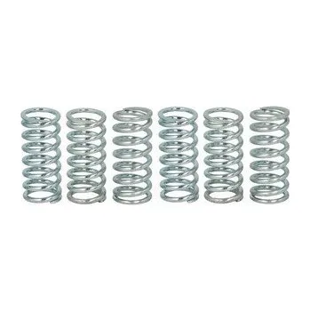 Spojkové pružiny TRW BMW F 650 GS Dakar 00-04