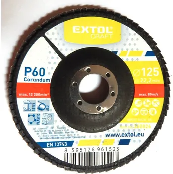 Brusný kotouč Kotouč brusný lamelový, pr. 125, P 60 - poslední 4 kusy | Výprodej Výprodej ostatní