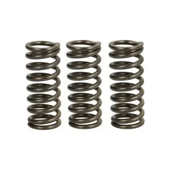 Spojkové pružiny TRW Ducati 1260 Multistrada 18-