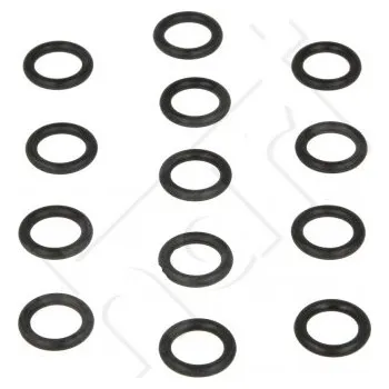 O-kroužky pro sadu F-08 /13 ks/ SR:10,77 01-010.77 HART