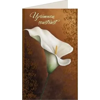 ARGUS Kondolence Úpřimná soustrast 14-609c