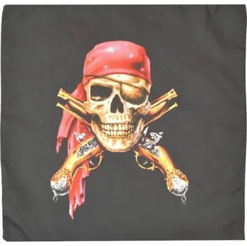 Povlak na dekorativní polštářek 3D povláček na polštářek APEX - Pirát - Povláček na polštářek