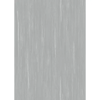 Tapeta DIMEX | Vliesová tapeta na zeď WPE-901759 | 0,53 x 10,05 m | šedá, metalická + Šedá, metalická vliesová tapeta na stěnu WPE901759 v rozměru 0,53 x 10,05 m