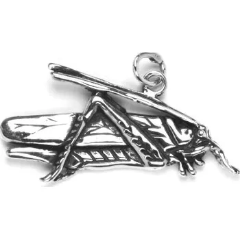 Přívěsek Stříbrný přívěsek saranče , luční kobylka - P166 (Stříbrný přívěsek luční kobylka, saranče)