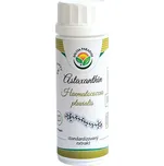 Salvia Paradise Astaxanthin standardizovaný extrakt kapsle 100 ks