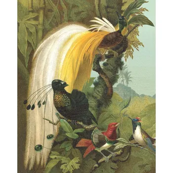 Fototapeta Vliesová fototapeta páv na stromě rozměr 212 x 265 cm / vliesové fototapety na zeď Magic Walls 543797 Rasch