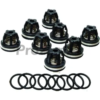 Zahrada Ventilová sada pro Annovi Reverberi AR 160, AR 185, AR 320