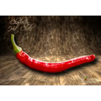 Semeno chilli-semena Charleston Hot Chilli