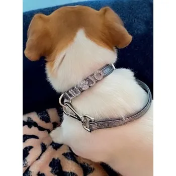 Obojek pro psa LIU JO Třpytivý obojek z umělé kůže šířka 1,5 cm obvod krku 28-33 cm stříbrná vel. M