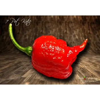 Semeno chilli-semena 7 Pot Katie