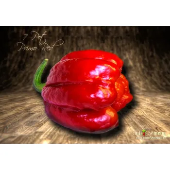 Semeno chilli-semena 7 Pot Primo Red