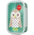 Svačinový box 3 Sprouts Krabička na svačinu Bento Owl 21,6 x 14,6 cm Mint