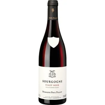 Víno Domanie Paul Pillot Bourgogne Pinot Noir 2020