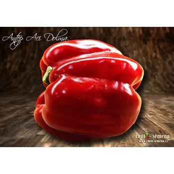 Semeno chilli-semena chilli-semena Antep Aci Dolma