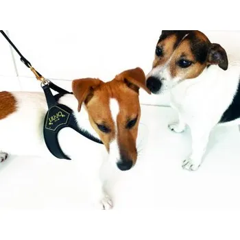 Postroj pro psa LIU JO Postroj s horní sponou do hmotnosti psů 9-11 kg černá vel. 3