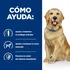 Krmivo pro psa Hill's Pet Nutrition Prescription Diet Canine Mobility j/d