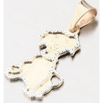 Přívěsek Přívěsek zlato mix 585 pes 13-394