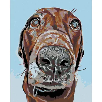 Diamondi Diamantové malování - PES S VELKÝM ČUMÁČKEM Rozměr: 40x50 cm, Rámování: bez rámu a bez vypnutí plátna