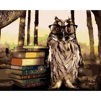 Hračka Diamondi Diamantové malování - SOVA S KNIHAMI Rozměr: 40x50 cm, Rámování: bez rámu a bez vypnutí plátna