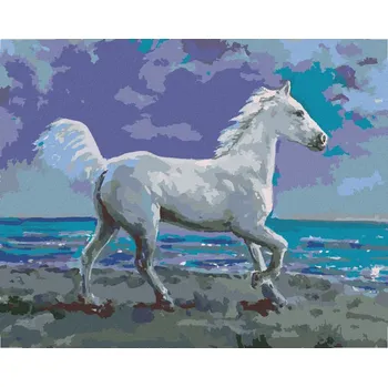 Hračka Diamondi Diamantové malování - BÍLÝ KŮŇ NA BŘEHU Rozměr: 40x50 cm, Rámování: vypnuté plátno na rám