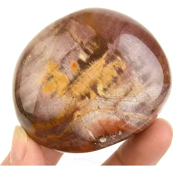 Přírodní kámen Hladký kámen zkamenělé dřevo (Madagaskar) 170g