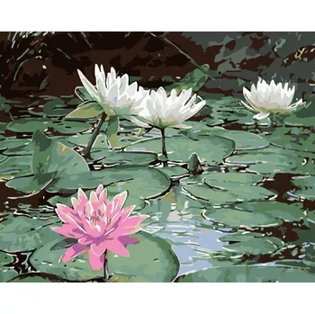 Hračka Diamondi Diamantové malování - RŮŽOVÝ LEKNÍN A TŘI BÍLÉ Rozměr: 40x50 cm, Rámování: bez rámu a bez vypnutí plátna